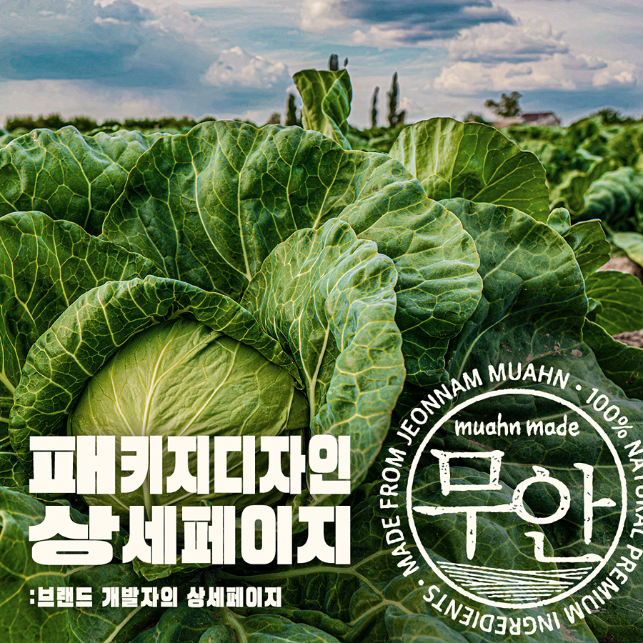 양파와사람들