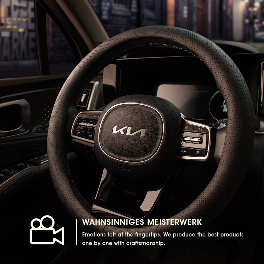 C360Steering Wheel Cover